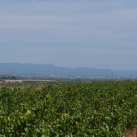 Photo de France - Le Canal du Midi et le tunnel du Malpas